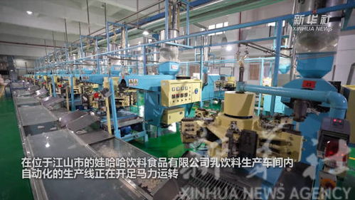 奮斗正當時 浙江信息技術咨詢服務企業新春開工忙，蓄力數字新程